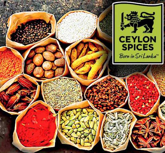 EDB Licenses ‘Ceylon Spices’ Trademark To Preserve Originality | Daily FT