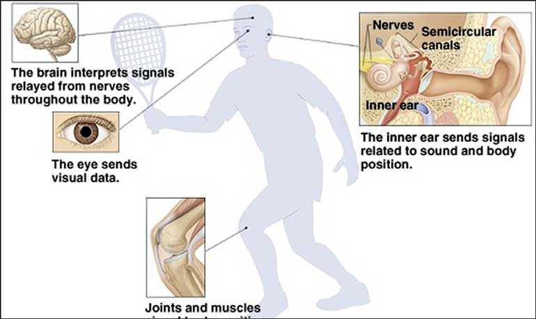 what-causes-dizziness-an-overview-of-common-balance-disorders-daily-ft