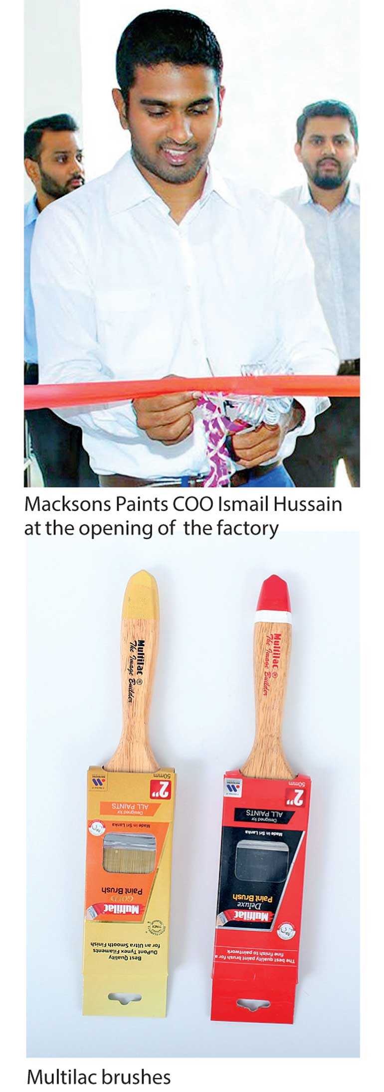 Premium paintbrush launched by Macksons under Multilac brand Daily FT