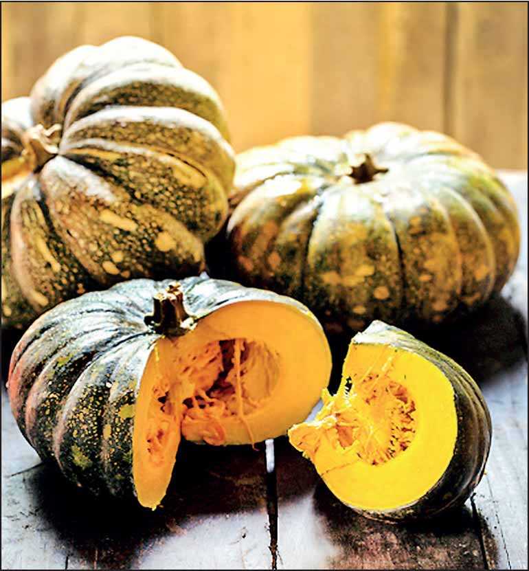 First ever Pumpkin Farmers Festival kicks off today Daily FT