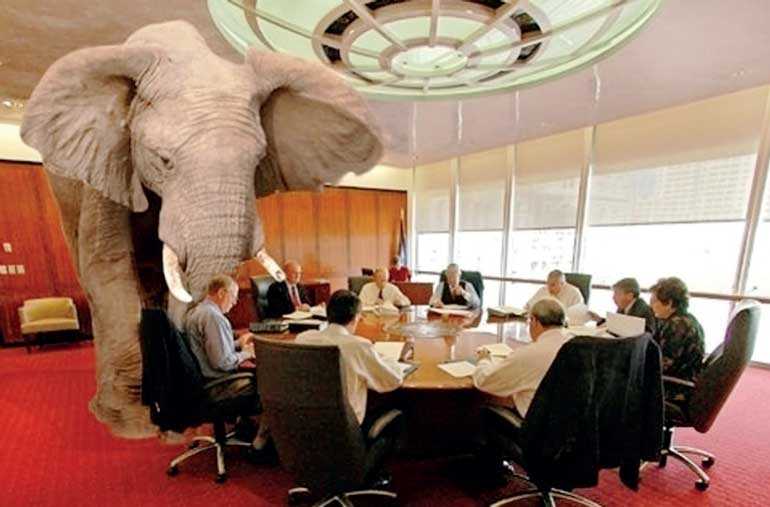 Elephant in the room |The Times of India