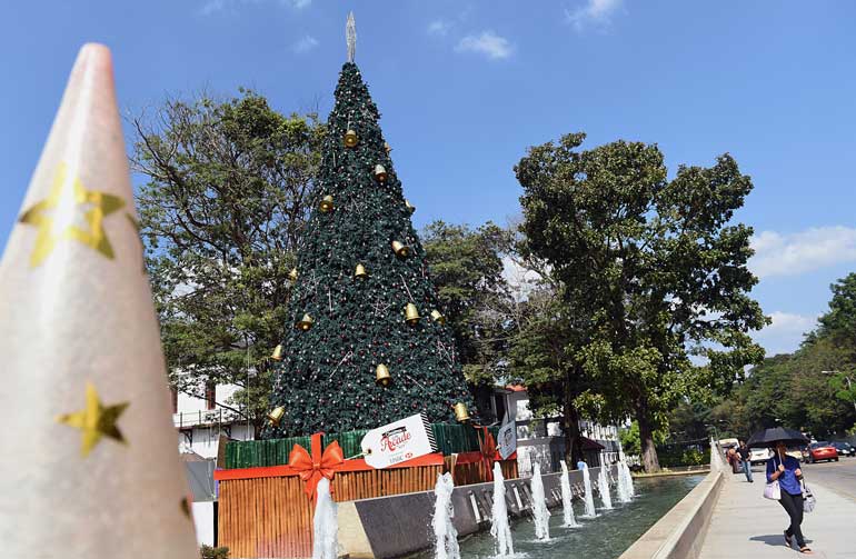 Colombo bans Christmas trees in churches Daily FT