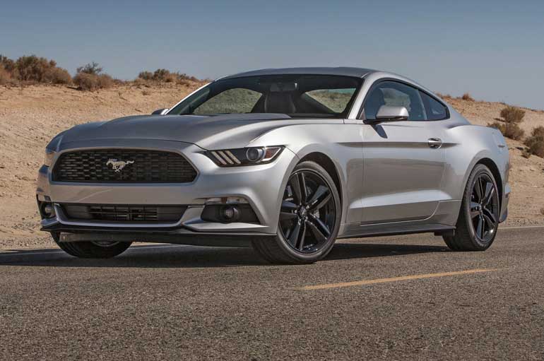 Black Cars Muscle Cars Vehicles Ford Mustang Bushes Ford Mustang