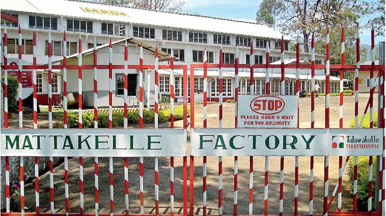 Watawala plantations vacancies picture